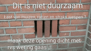 duurzaam milieuvriendelijk diervriendelijk muizen bestrijden