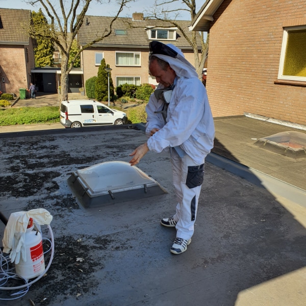 wat kost wespenbestrijding aan huis